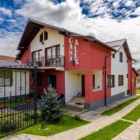 Hotel Casa Alex Călimăneşti Exterior foto
